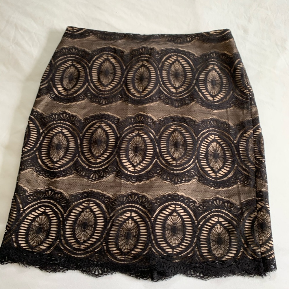 Silk Skirt with Black Lace Overlay